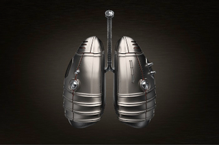 Illustration for article titled A suit of armor for your internal organs